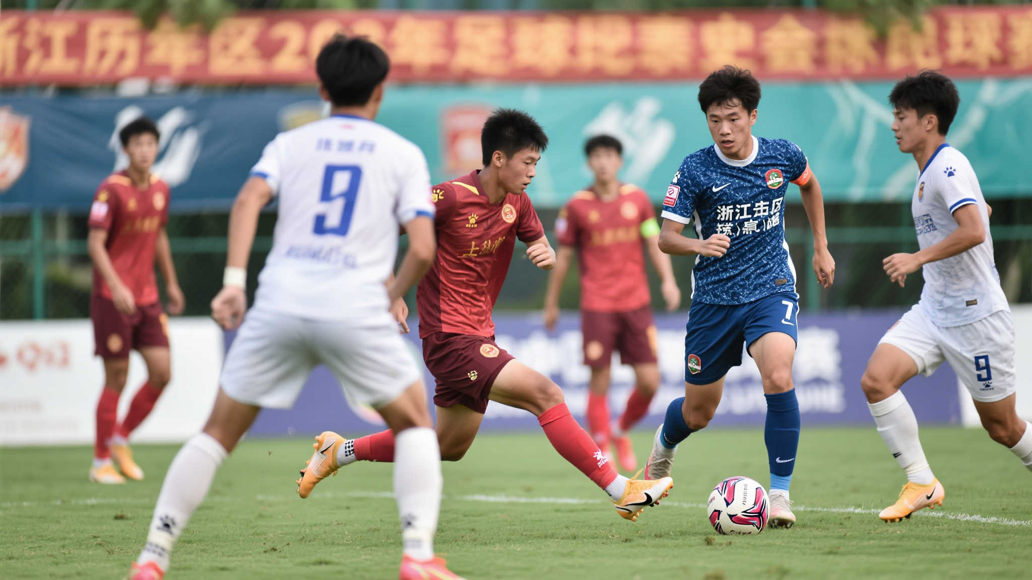 D带来新的 D带来新的